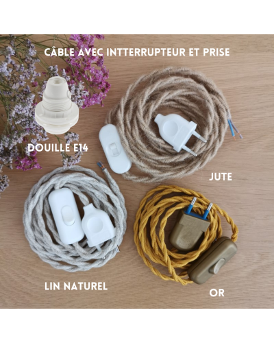 Câble électrique avec interrupteur et prise